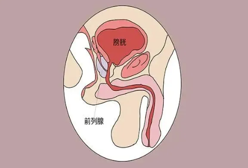 注意！縱欲和禁欲，最受傷的還是男人的這個器官！(圖1)